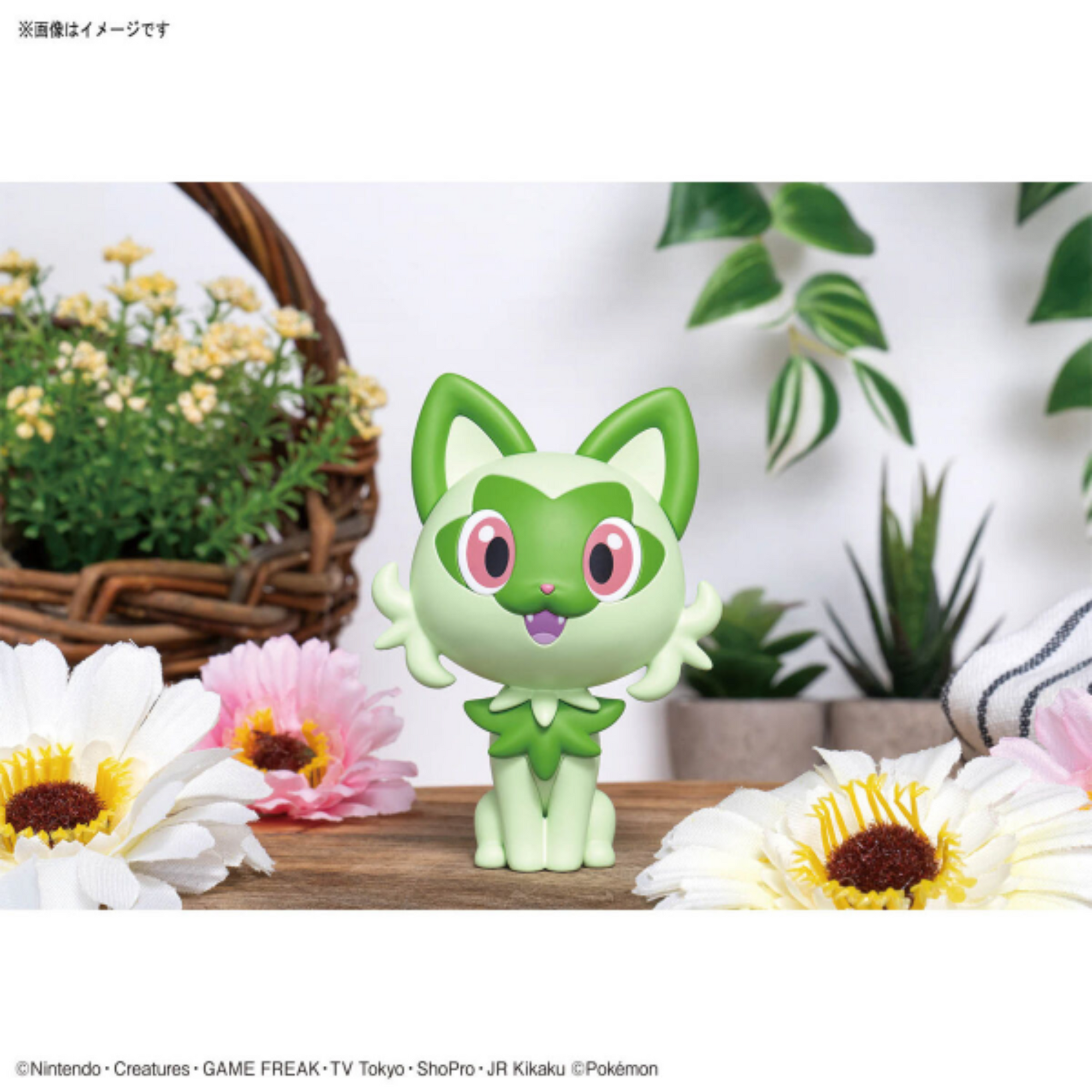 Pokémon Sprigatito Model Kit