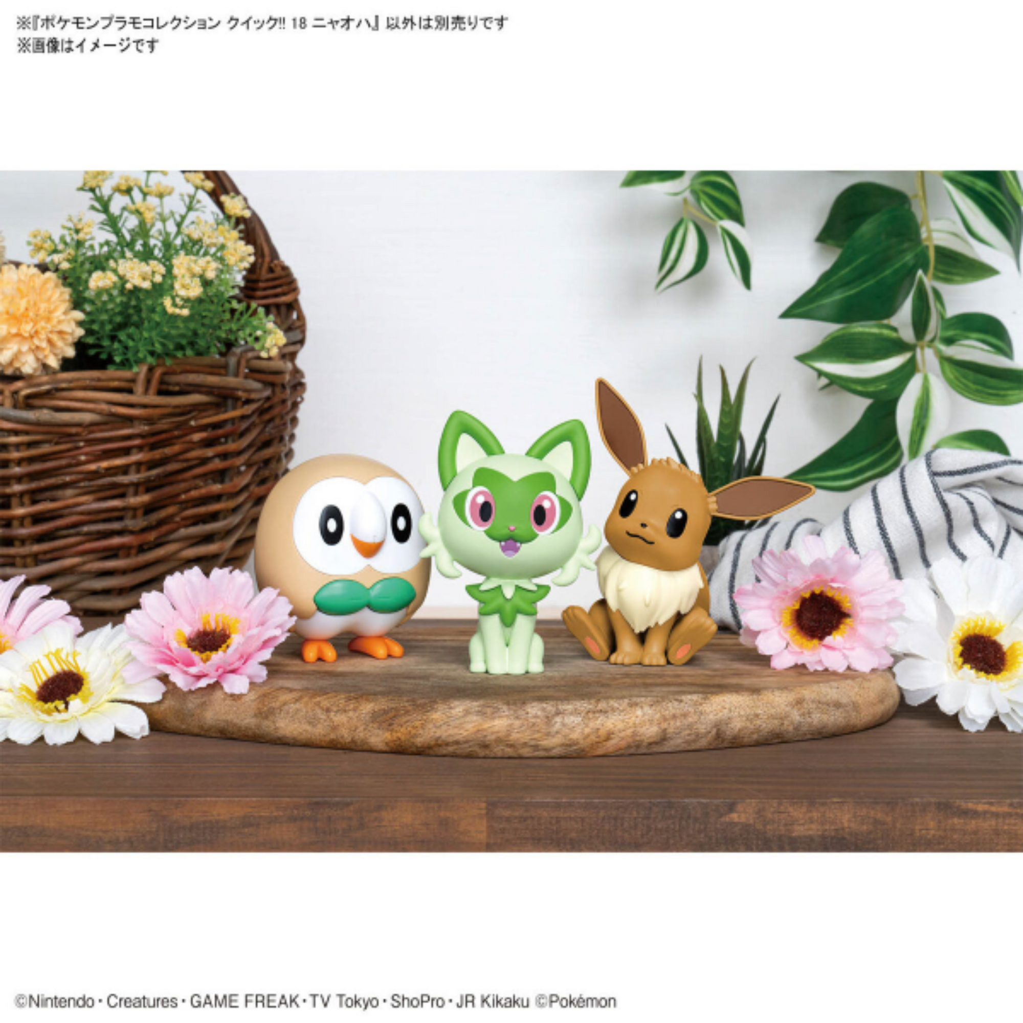 Pokémon Sprigatito Model Kit